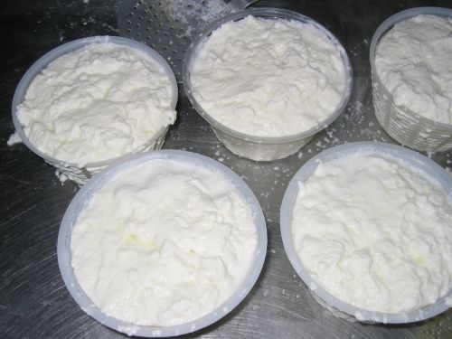 scuola di formaggio-56.JPG